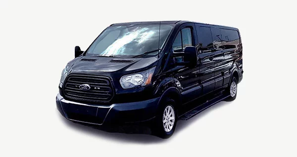 Mini Transit Limo